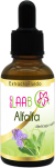 Extracto Alfalfa "medicago sativa"
