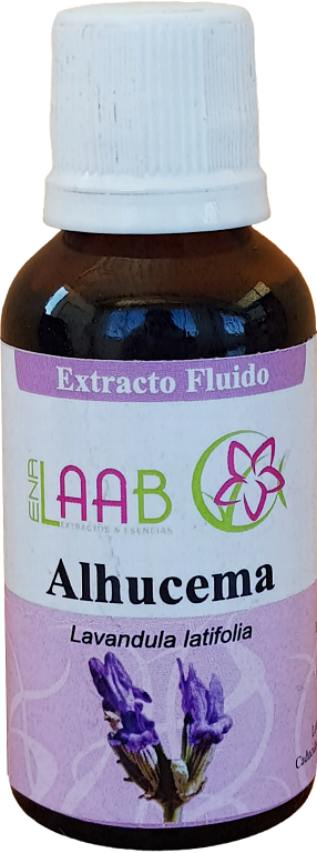 Extracto de Alhucema “Lavandula latifolia” – Enalaab